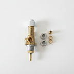 A brass and stainless steel pressure regulator assembly with two small brass caps and two hex nuts, laid out on a light gray background.