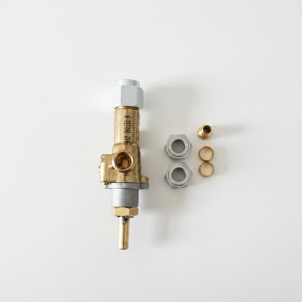 A brass and stainless steel pressure regulator assembly with two small brass caps and two hex nuts, laid out on a light gray background.