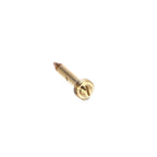 Pilot Burner Jet Ø 0.40mm – NG